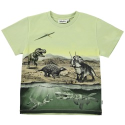 T-Shirt MC Dinos vert...